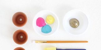 Cách trang trí chậu hoa đơn giản cho những bạn vụng về