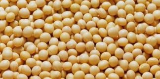 Những thực phẩm kị với thịt lợn