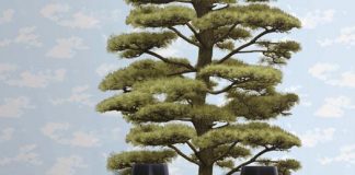 Làm sao để tạo phong cách hiện đại cho căn phòng nhờ giấy dán tường? - 1