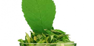 6 cách giải độc cho cơ thể mỗi ngày