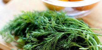 6-nguyen-lieu-co-san-tri-hoi-mieng-sieu-toc-1