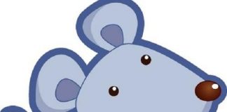 Top 5 con giáp có số lấy chồng đại gia