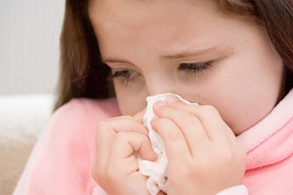 Cách dùng tía tô chữa cảm cúm