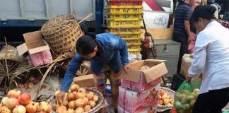 Tiết lộ rợn người của chủ buôn hoa quả Trung Quốc 15 năm