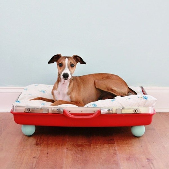 7 cách làm giường home-made độc đáo cho thú cưng