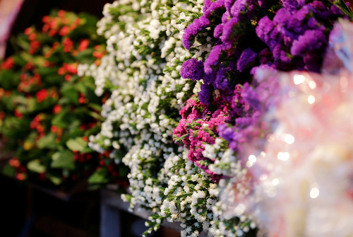 6 địa điểm chụp ảnh với hoa đẹp “hút hồn” ở Hà Nội