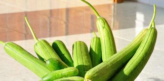 Những công dụng chữa bệnh của quả mướp cực hiệu quả