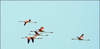 10 vùng đất màu mỡ nhất trái đất, Du lịch, du lich, du lich viet nam, du lich the gioi, du lich 2012, kinh nghiem du lich, du lich chau au, du lich chau a, kham pha the gioi, dia diem du lich,, vung dat mau mo, trai dat