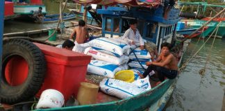 180 ghe cào cướp hàng tấn sò của ngư dân giữa ban ngày