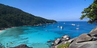 Sững sờ thế giới ngầm tuyệt đẹp dưới biển sâu