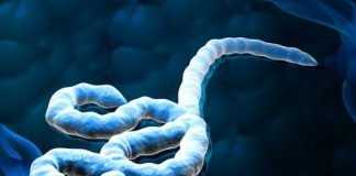 10-loai-virus-gay-chet-nguoi-nguy-hiem-nhat-the-gioi