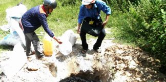 72 kg đỉa sấy khô từ biên giới: Chưa có thông tin mua đỉa để làm thuốc