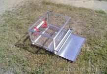 Hướng dẫn chọn lồng nuôi, thức ăn cho chim cút