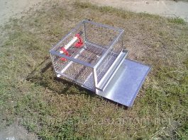 Hướng dẫn chọn lồng nuôi, thức ăn cho chim cút