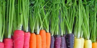 Cà rốt và khả năng ngăn ngừa bệnh tật