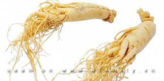 Những tác dụng phụ đáng lưu ý của nhân sâm