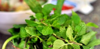 Những người nên nói không với việc ăn rau sống