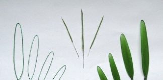 Cuối tuần làm tranh 3d trang trí nhà đơn giản mà tinh tế