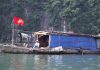 Dập dềnh làng chài Hạ Long