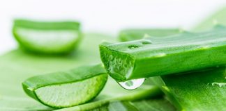 Khám phá công dụng của nha đam đối với sức khỏe