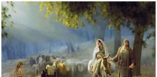 Khám phá vùng đất Thánh  - 1