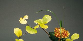 7 mẹo phong thủy cho tổ ấm hạnh phúc