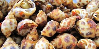 Những động vật luôn tiềm ẩn "ổ dịch bệnh" trong mình