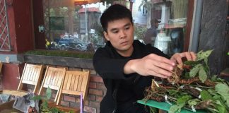 Đại gia chi 6 tỷ mua sâm ngậm Tết