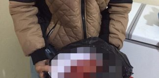 Một trưa bới rác tìm được... 67 sinh linh vắn số