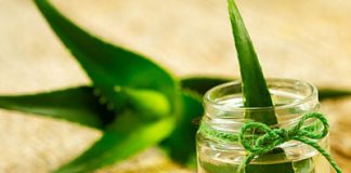 cham-soc-nguc-sau-sinh-1