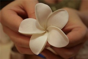 Cách làm cài áo hoa sứ tuyệt đẹp