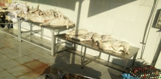 Cận cảnh quá trình "hô biến" thịt thối, bốc mùi, rỉ nước thành món ngon khoái khẩu