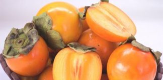 7-loai-qua-cang-an-cang-de-noi-mun