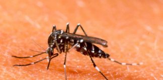 Cảnh giác với 5 loại bệnh nguy hiểm khi mùa mưa tới