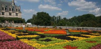 Mơ màng sắc hương lễ hội hoa Biltmore Mỹ