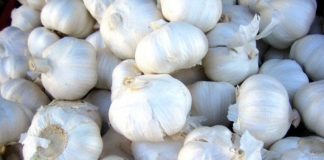 Công dụng phòng bệnh tuyệt vời của tỏi