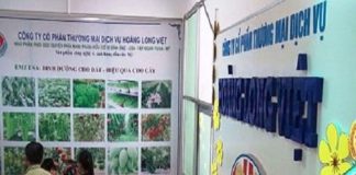 Dụ dỗ bán hàng đa cấp: Bỏ 5 triệu, thu về hơn 50 triệu đồng