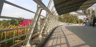 Cần Thơ cắt hết khóa tình yêu trên cầu đi bộ 50 tỷ