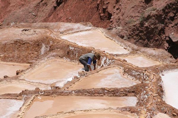 Đến Peru chiêm ngưỡng vẻ đẹp những ruộng muối