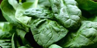 Bí quyết chọn rau xanh để mùa thu khỏe mạnh