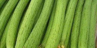 Tác dụng chữa bệnh không ngờ của quả mướp