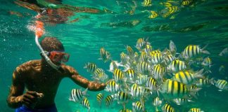 Du lịch quốc đảo Jamaica xanh mát