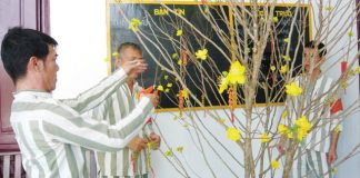 Các trùm giang hồ bật khóc trong tù vì nhớ Tết