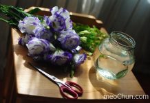 Cắm lan tường trong lọ thủy tinh tròn đẹp dịu dàng