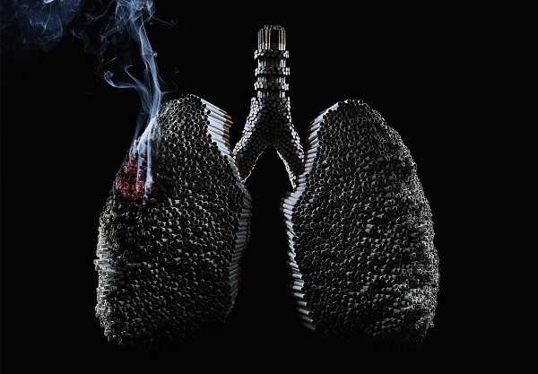 Cách thuốc lá huỷ hoại cơ thể người theo từng giai đoạn
