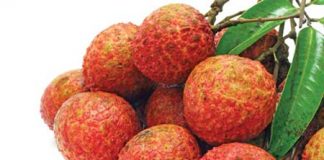 Ăn vải thế nào để không nóng trong người?