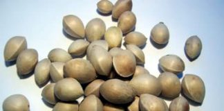 Các loại rau xanh, quả củ tươi gây ngộ độc