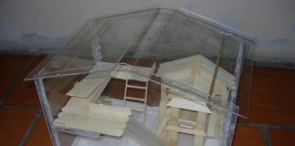 Hướng dẫn cách chuẩn bị những đồ dùng cơ bản khi nuôi Hamster