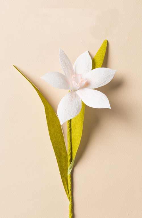 Các loại giấy làm hoa phổ biến để làm hoa giấy - 5