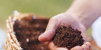 Hướng dẫn cách làm chậu hoa treo xinh xắn